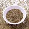 MIYUKI Delica Beads X-SEED-J020-DB2155-2