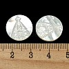 Carved Natural White Shell Cabochons SSHEL-N038-06B-02-3