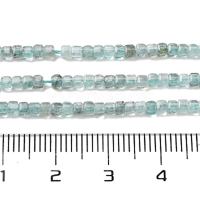 Natural Apatit Beads Strands G-H042-B12-01A-1