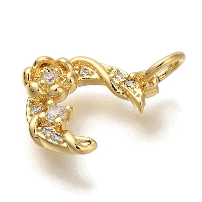 Rack Plating Brass Micro Pave Cubic Zirconia Charms KK-I720-61G-1
