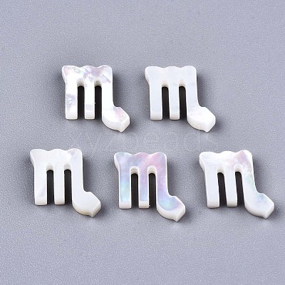 Natural White Shell Beads X-SSHEL-ZX004-02B-1