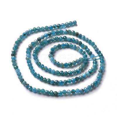 Natural Apatite Beads Strands G-E411-36-2mm-01-1