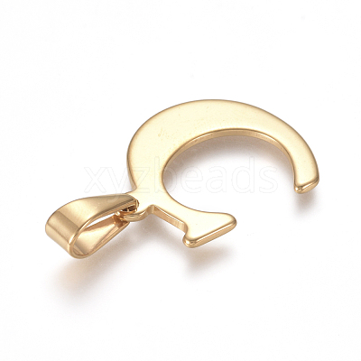 304 Stainless Steel Pendants STAS-F106-95G-C-1