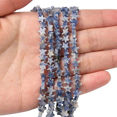 Natural Blue Spot Jasper Beads Strands G-F817-A12-01-1