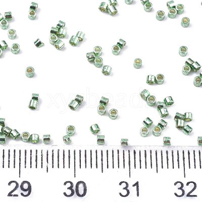 FGB 11/0 Grade A Glass Seed Beads SEED-S030-1217-1