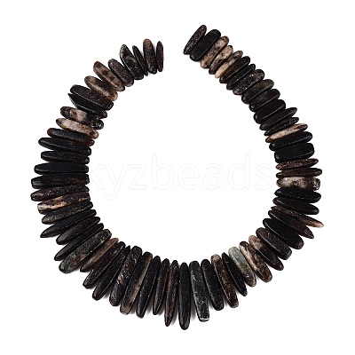 Natural Biotite Beads Strands G-Q616-06A-1