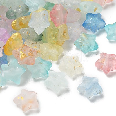 Frosted Acrylic Charms OACR-M023-04B-1