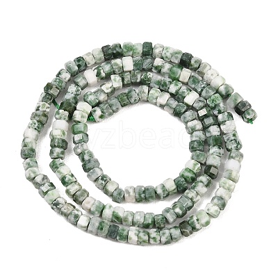 Natural Green Spot Jasper Beads Strands G-G345-C12-2x4mm-1