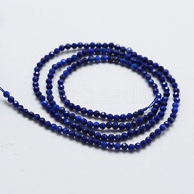 Natural Lapis Lazuli Bead Strands X-G-G663-48-2mm-1