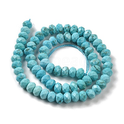 Dyed Natural Howlite Beads Strands G-G023-A01-01A-1