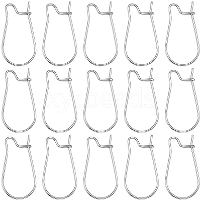 60Pcs 316 Surgical Stainless Steel Hoop Earrings Findings STAS-BBC0010-02-1