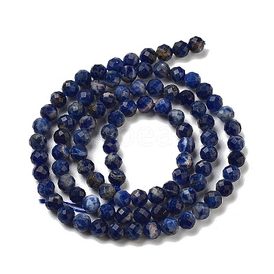Natural Sodalite Beads Strands G-B088-C03-04-1