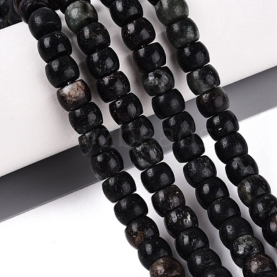 Natural Biotite Beads Strands G-Q616-02A-12-1