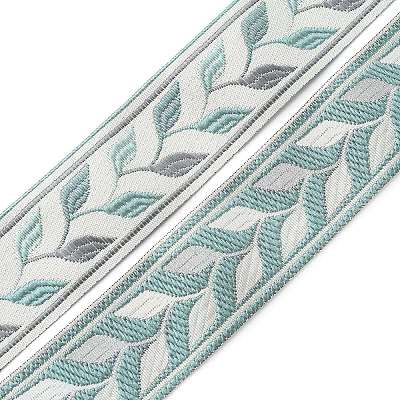 Embroidery Polyester Ribbon OCOR-WH0033-88C-1