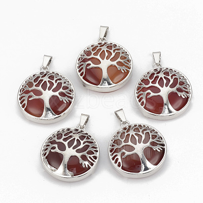 Natural Carnelian Pendants G-S292-10H-P-1