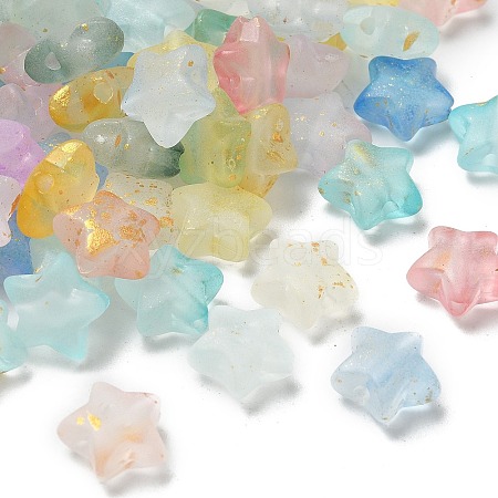 Frosted Acrylic Charms OACR-M023-04B-1