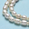 Natural Cultured Freshwater Pearl Beads Strands PEAR-J006-10F-01-4