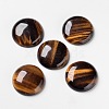 Natural Tiger Eye Cabochons G-F298-02-1