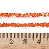 Electroplate Transparent Glass Beads Strands EGLA-P061-04C-AB05-4