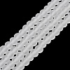 Transparent Glass Beads Strands EGLA-A044-T8mm-MD19-2