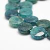Natural Apatite Beads Strands G-F476-04-12x4mm-3
