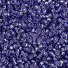 MIYUKI Round Rocailles Beads SEED-X0056-RR0649-4