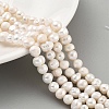 Natural Cultured Freshwater Pearl Beads Strands PEAR-C003-12A-2