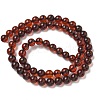 Natural Amber Beads Strands G-K387-D01-01-4