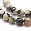 Dyed Natural Agate Faceted Round Beads Strands G-E267-01-2