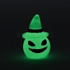 Luminous Halloween Theme  Resin Decorations LUMI-PW0005-002F-1