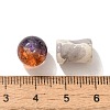 Mixed Style Glass Beads X1-GLAA-XCP0012-02T-3