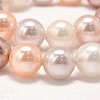 Round Shell Pearl Bead Strands X-BSHE-L011-6mm-L020-4