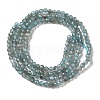 Natural Apatite Beads Strands G-C137-A01-01-3