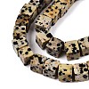 Natural Dalmatian Jasper Beads Strands G-T139-8x8-17A-3