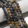 Natural Sodalite Beads Strands G-F591-13-2