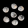 Transparent Glass Beads GLAA-D304-02J-1