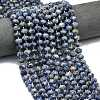 Natural Blue Spot Jasper Beads Strands G-P573-A45-01-1