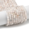 Natural Rainbow Moonstone Beads Strands G-G189-C06-03-1