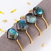 Hand-woven Natural Labradorite Cuff Bangles PW-WGEEB8F-02-2