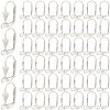 SOFPLATE 200Pcs Brass Leverback Earring Findings KK-SP0001-04P-1