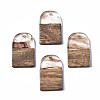 Transparent Resin & Walnut Wood Pendants RESI-T035-32B-1