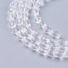 Faceted Glass Beads Strands X-GLAA-A036-F22-3