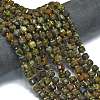 Natural Brazil Green Opal Beads Strands G-K389-A22-01-2