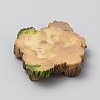 Mini Resin Display Decorations FIND-WH20019-71J-2