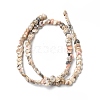 Natural Spiral Shell Beads Strands BSHE-G029-06-2