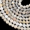 Natural White Moonstone Beads Strands G-C277-A01-6mm-4