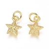 Electroplated Alloy Charms X-PALLOY-G267-09G-2