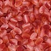 Frosted Glass Seed Beads SEED-N008-05E-3