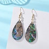 304 Stainless Steel Dangle Earrings EJEW-JE06944-1