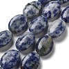 Natural Blue Spot Jasper Beads Strands G-P528-M26-01-1